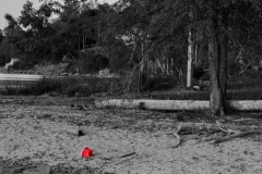 2023.12.13-A-Study-in-Scarlet-Solitude-01