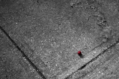 2023.12.13-A-Study-in-Scarlet-Solitude-03