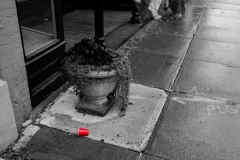 2023.12.13-A-Study-in-Scarlet-Solitude-06